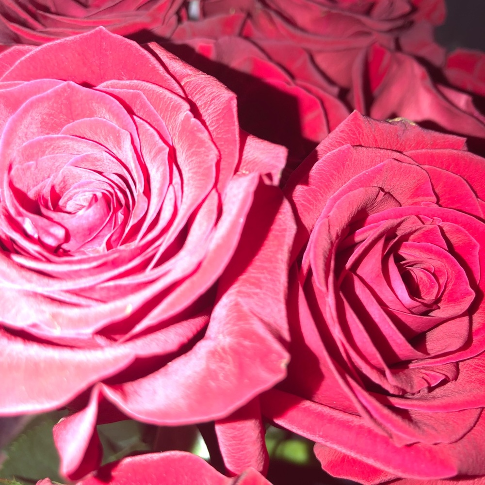 Meet your Posher, Cheyanne